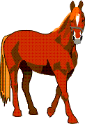 Pension de Chevaux Cysoing